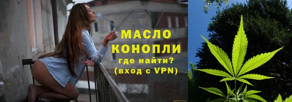 винт Инта