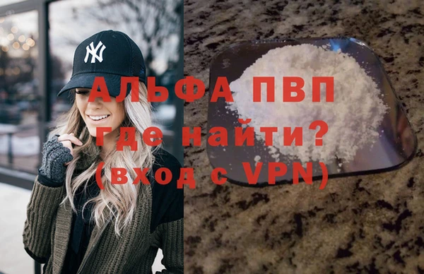 не бодяженный Иннополис