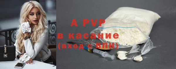 винт Инта