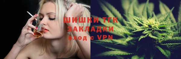 винт Инта