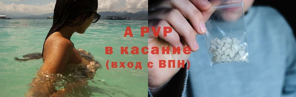 не бодяженный Иннополис