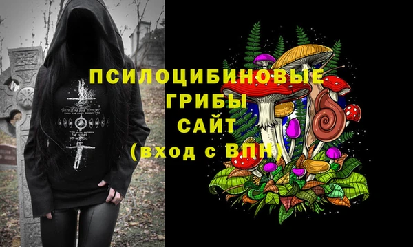 не бодяженный Иннополис