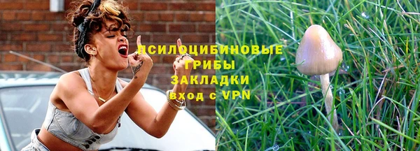 винт Инта