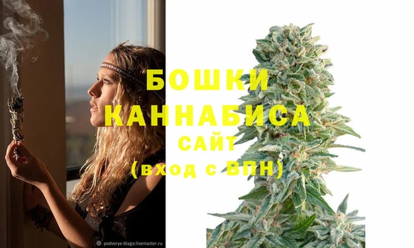 винт Инта