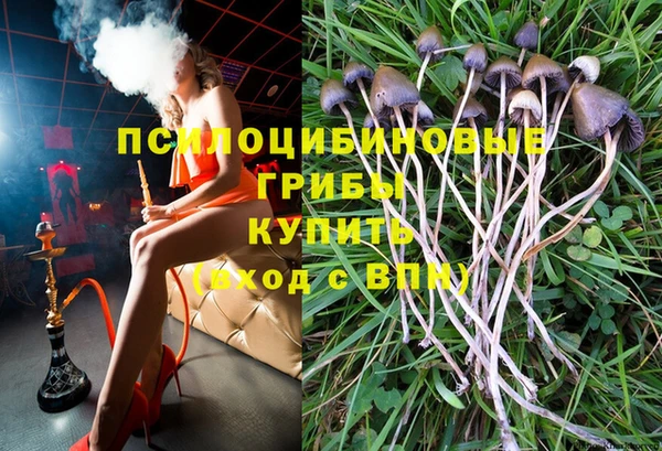 винт Инта
