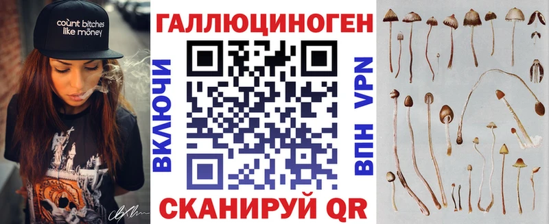 как найти Кущёвская Галлюциногенные грибы MAGIC MUSHROOMS